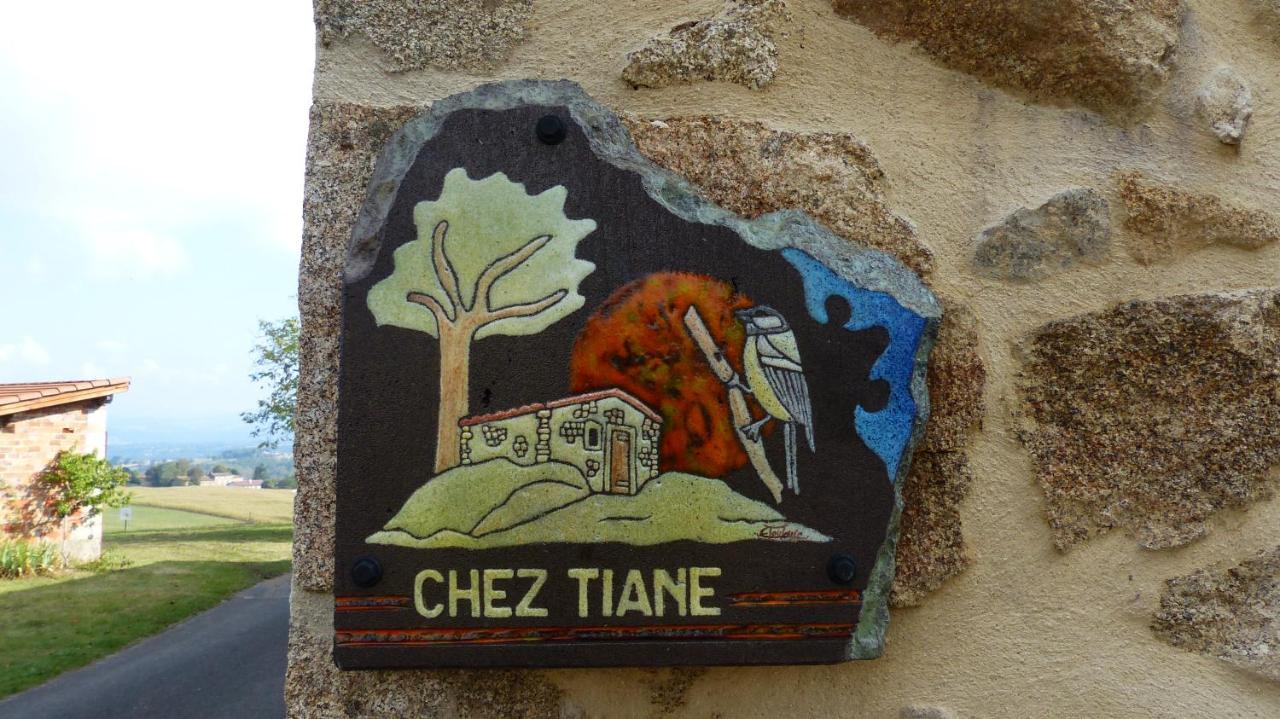 Chez Tiane Puy De Dome Panzió Saint-Flour  Kültér fotó